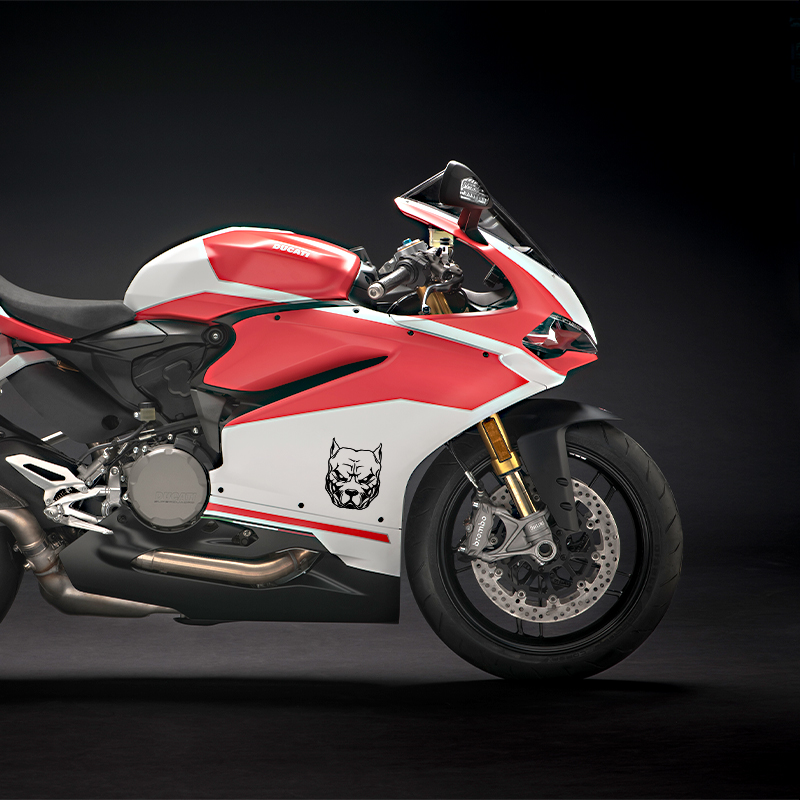 Motorcycle Sticker dog pattern - đánh giá và giá Motorcycle Gear For Dogs