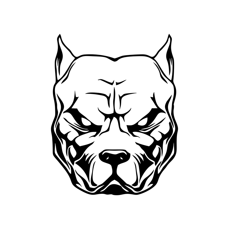Motorcycle Sticker dog pattern - đánh giá và giá Motorcycle Gear For Dogs