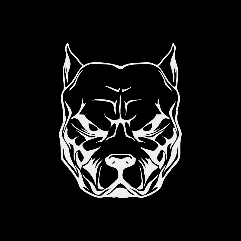 Motorcycle Sticker dog pattern - đánh giá và giá Motorcycle Gear For Dogs
