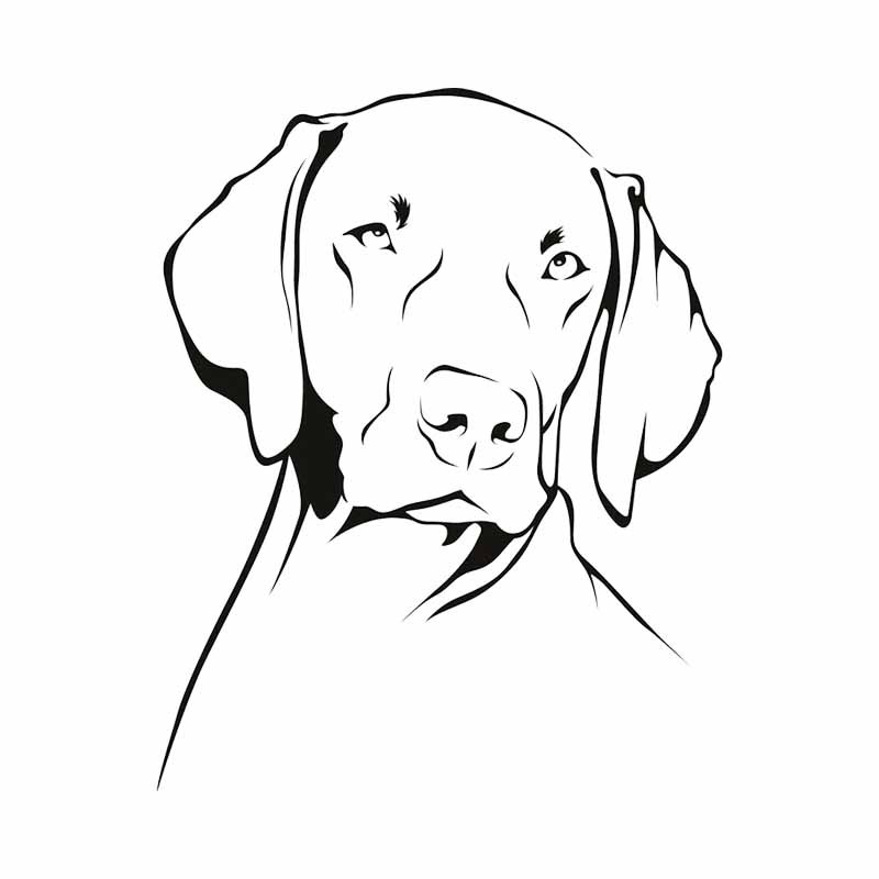 Weimaraner Dog Outline Waterpr - đánh giá và giá Motorcycle Gear For Dogs