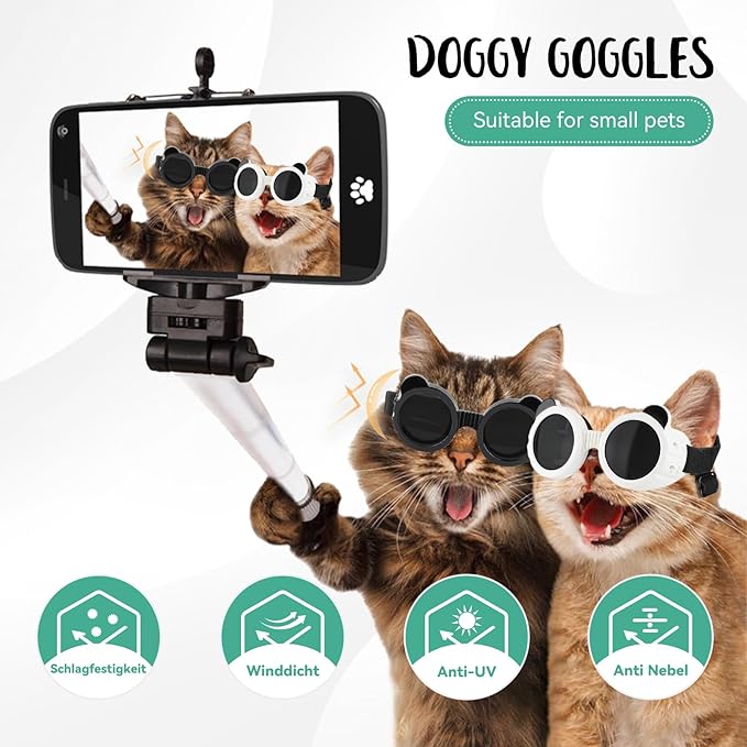 Cat Motorcycle Helmet Dog Wate - đánh giá và giá Motorcycle Gear For Dogs