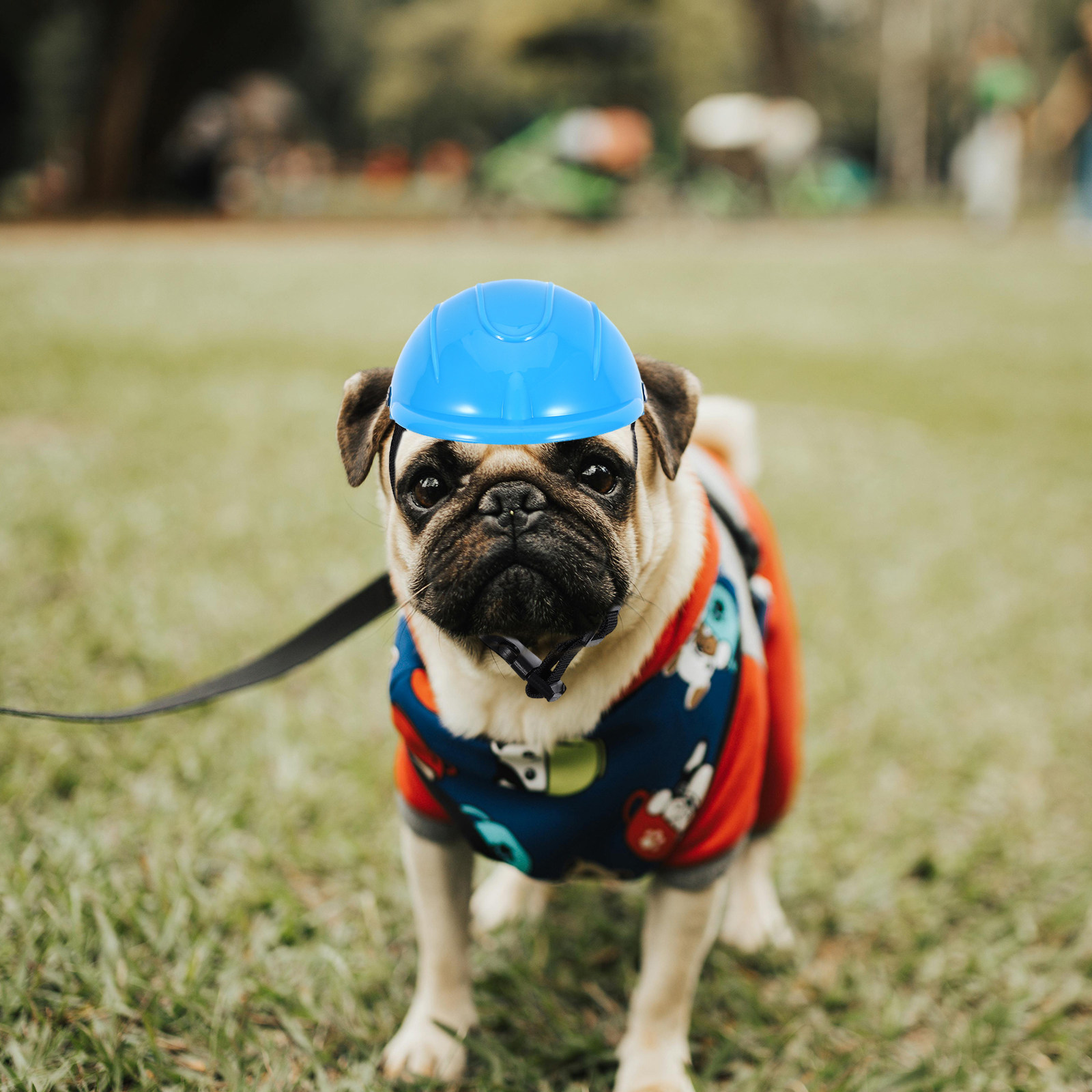 Small Dog Adjustable Pet Safet - đánh giá và giá Motorcycle Gear For Dogs