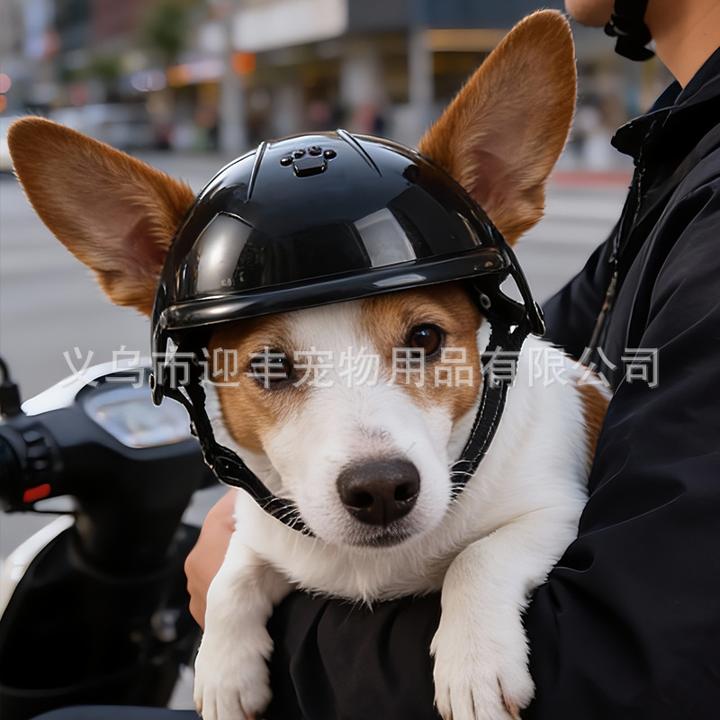 Pink Motorcycle Pet Helmet wit - đánh giá và giá Motorcycle Gear For Dogs