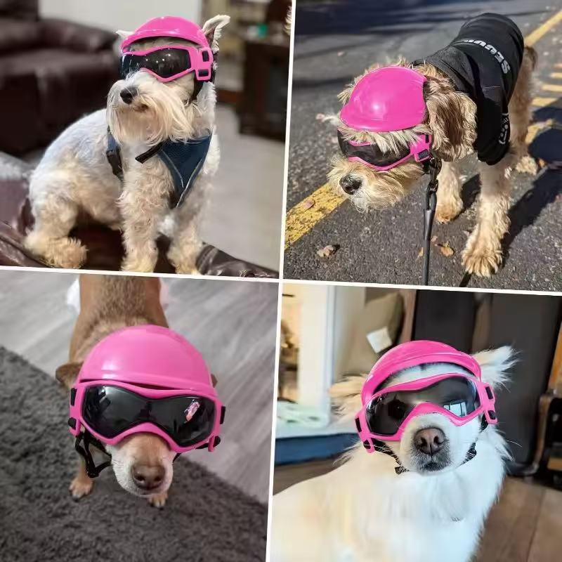 Dog Motorcycle Helmet Goggles  - đánh giá và giá Motorcycle Gear For Dogs