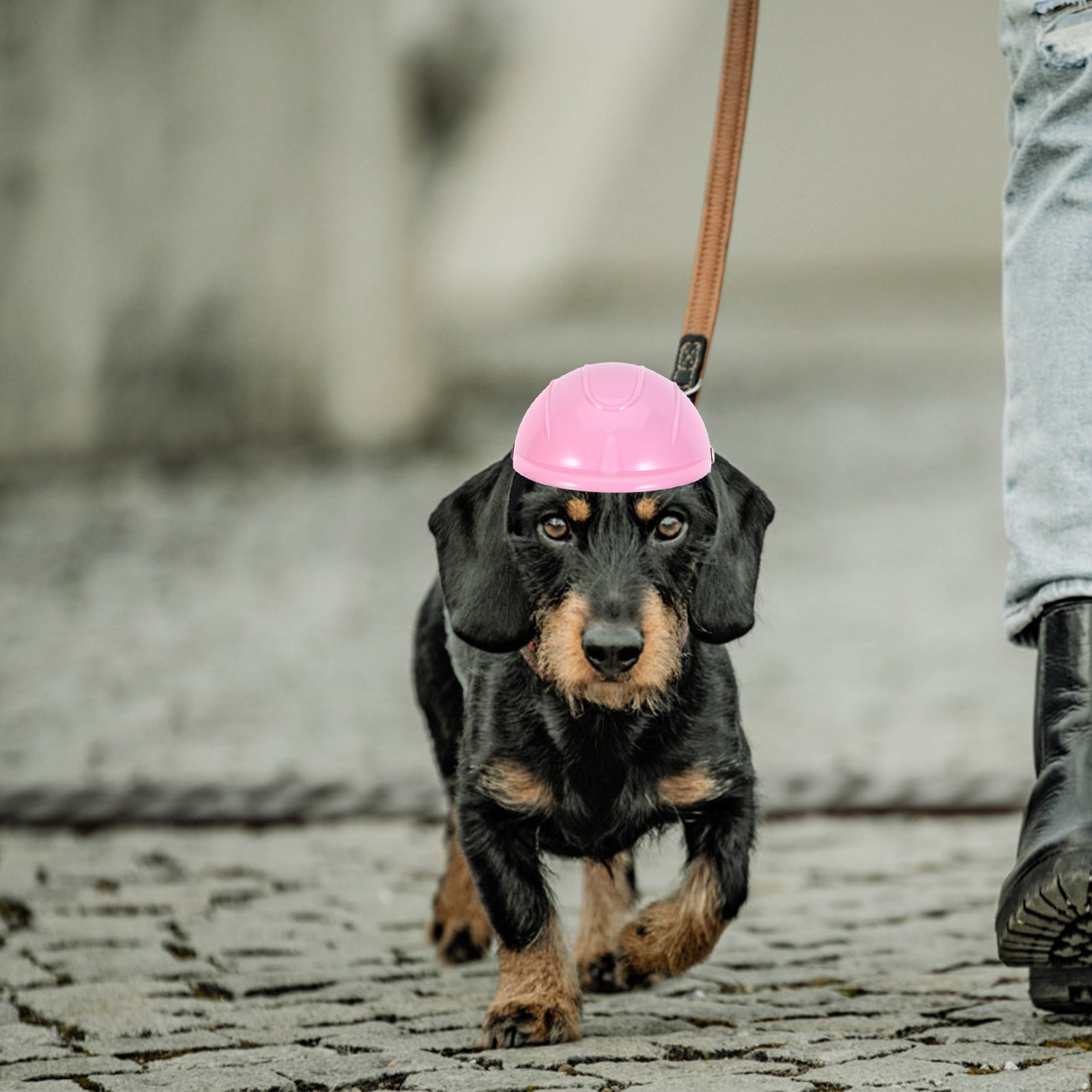 Small Dog Adjustable Pet Safet - đánh giá và giá Motorcycle Gear For Dogs