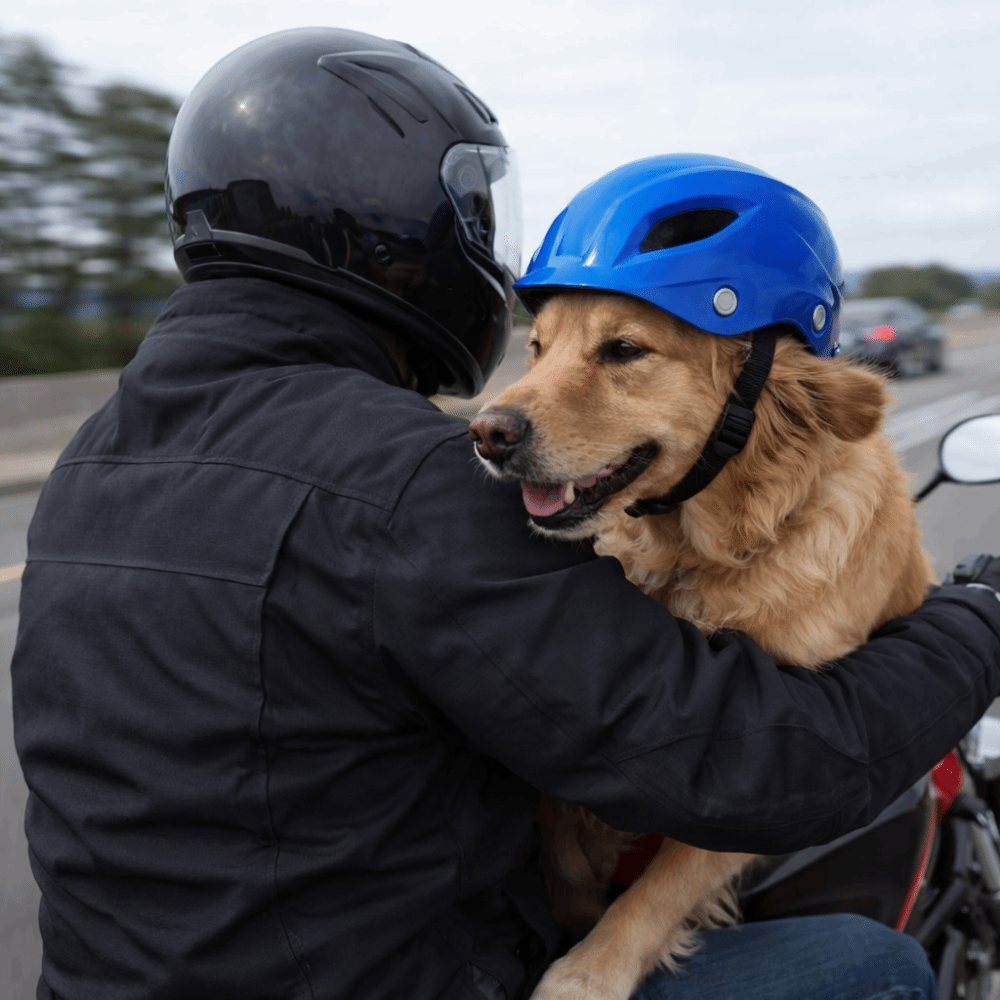 Pet Headgear Adjustable Dog He - đánh giá và giá Motorcycle Gear For Dogs